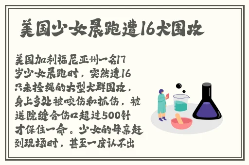 可约可空降一对一