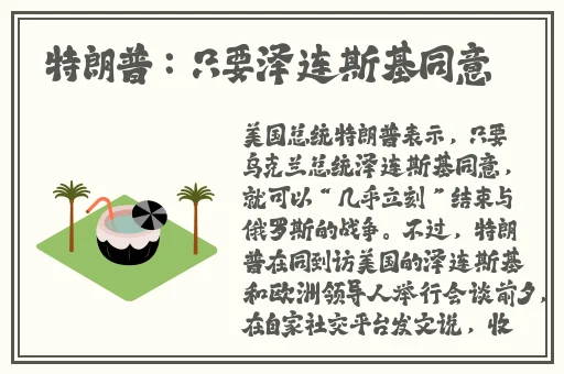 皮特电视在线观看